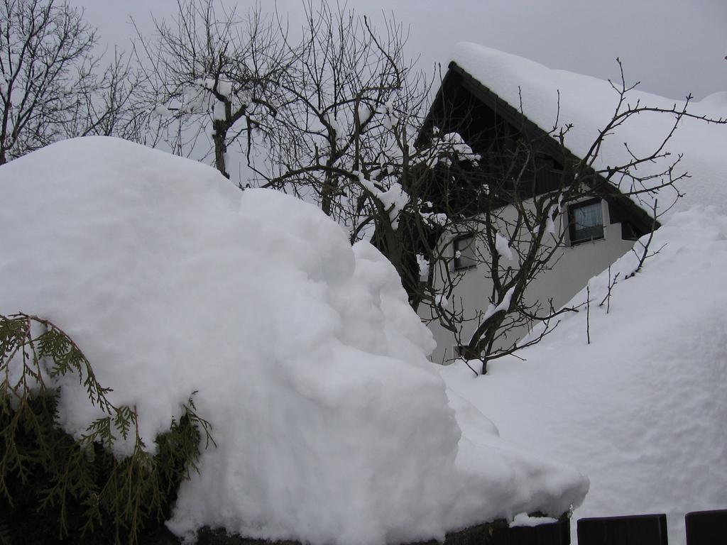 Apartment Nasa Hisa Bohinj